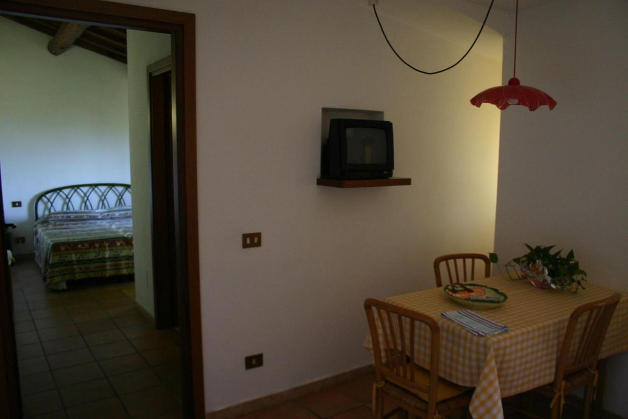 Agriturismo Oliveto Di Geltrude Contessa 阿米里亚 外观 照片