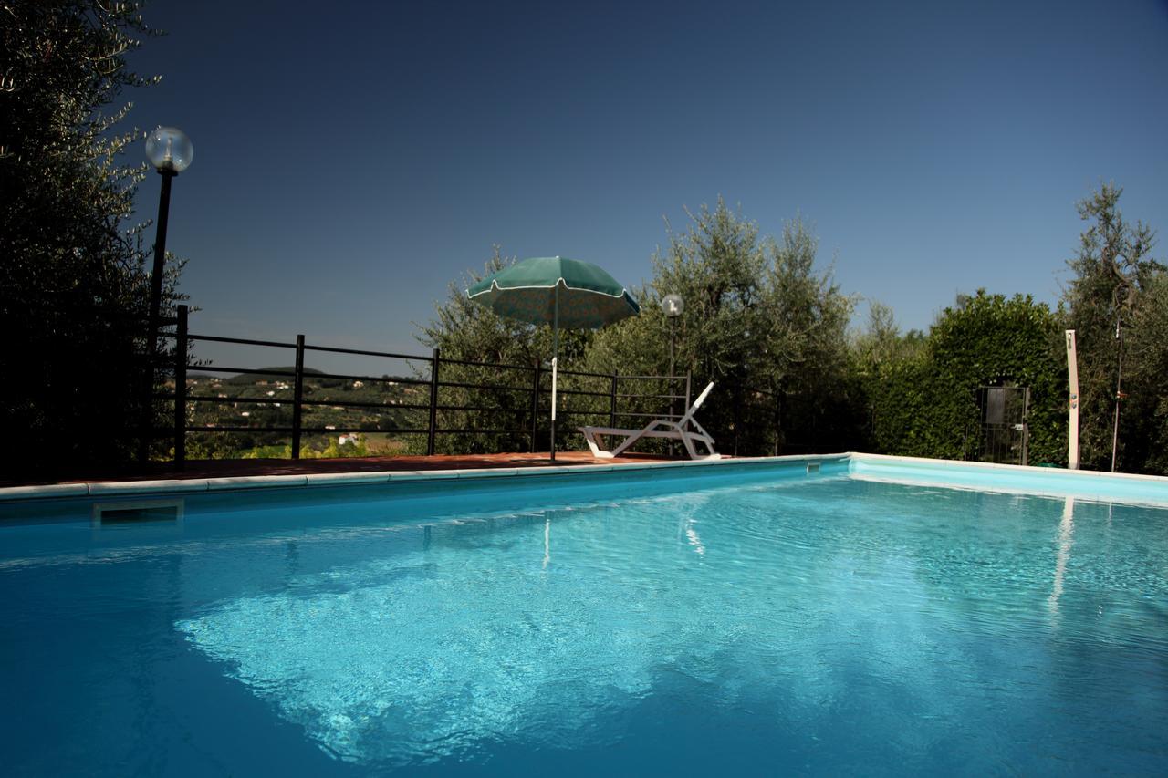 Agriturismo Oliveto Di Geltrude Contessa 阿米里亚 外观 照片
