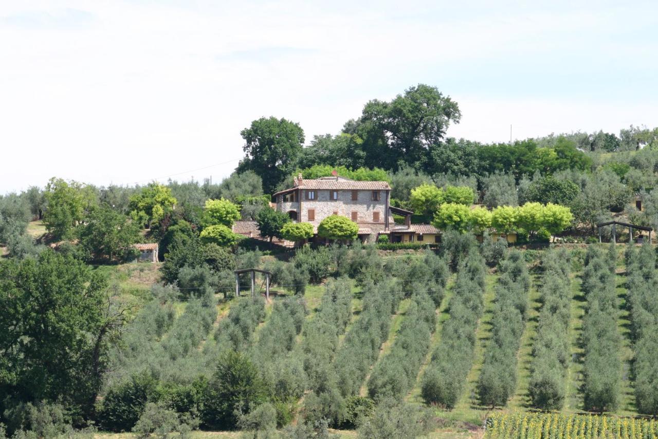 Agriturismo Oliveto Di Geltrude Contessa 阿米里亚 外观 照片